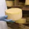 Фермент микробного происхождения: инновационная разработка ЗЭФ выходит на рынок