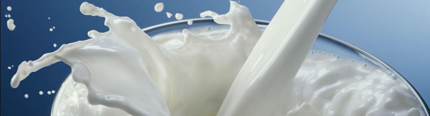 Доза МФП и кислотность молока