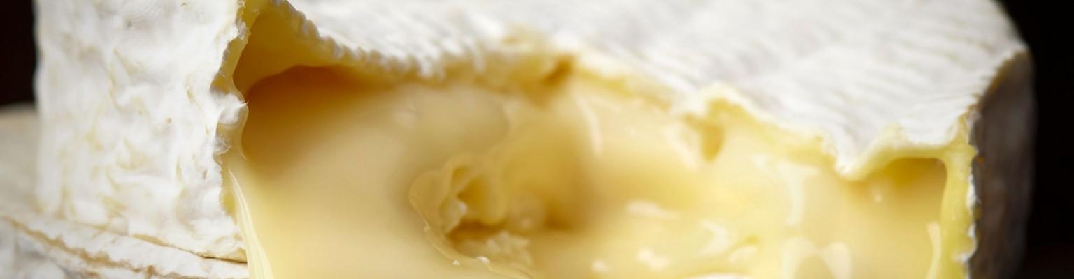 10 интересных фактов о сыре
